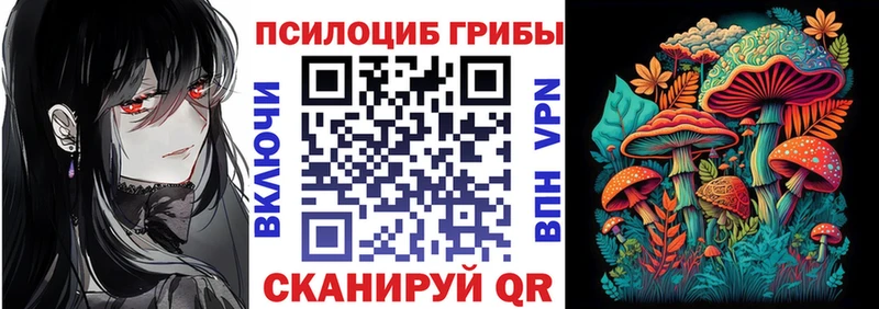Псилоцибиновые грибы Psilocybe  Волгоград 